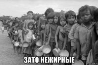  зато нежирные
