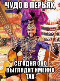 чудо в перьях, сегодня оно выглядит именно так