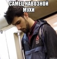 самец навозной мухи 