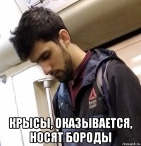  крысы, оказывается, носят бороды
