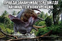 правда заканчивается там,где начинается конкуренция. 