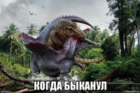  когда быканул