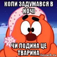 коли задумався в ночі чи лодина це тварина