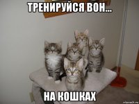тренируйся вон... на кошках