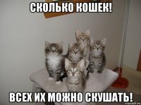 сколько кошек! всех их можно скушать!