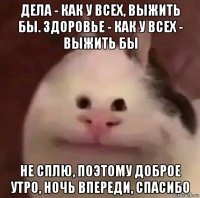 дела - как у всех, выжить бы. здоровье - как у всех - выжить бы не сплю, поэтому доброе утро, ночь впереди, спасибо