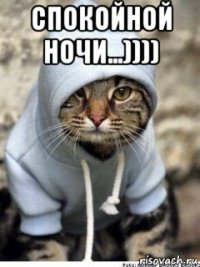 спокойной ночи...)))) 