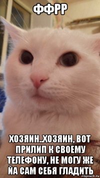 ффрр хозяин..хозяин, вот прилип к своему телефону, не могу же йа сам себя гладить