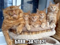  бляя...за что?!