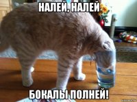налей, налей бокалы полней!