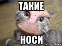 такие носи