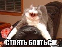  стоять бояться!