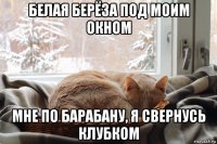 белая берёза под моим окном мне по барабану, я свернусь клубком