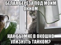 белая берёза под моим окном как бы мне в окошко улизнуть тайком?