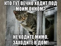 кто тут вечно ходит под моим окном? не ходите мимо, заходите в дом!