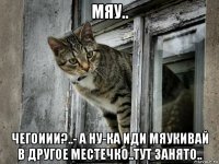 мяу.. чегоиии?..- а ну-ка иди мяукивай в другое местечко..тут занято..
