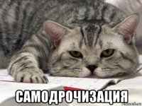  самодрочизация