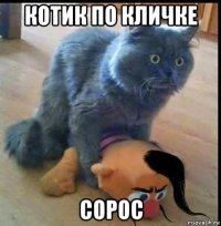 котик по кличке сорос