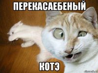 перекасаебеный котэ