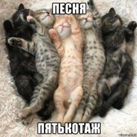 песня пятькотаж