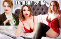 ебливая сучка 