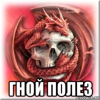  гной полез