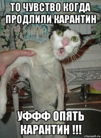 то чувство когда продлили карантин уффф опять карантин !!!