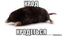 крод кродеться