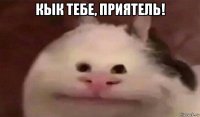 кык тебе, приятель! 