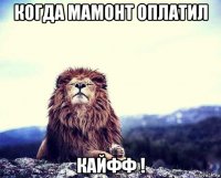 когда мамонт оплатил кайфф !