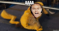 аааа 