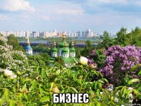  бизнес