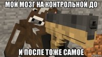 мой мозг на контрольной до и после тоже самое