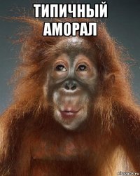 типичный аморал 