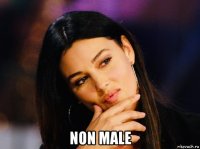  non male