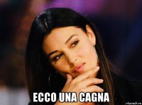  ecco una cagna