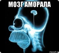 мозг аморала 