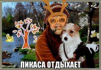  пикаса отдыхает