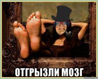  отгрызли мозг