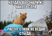 когда б вы знали, из какого сора растут стихи, не ведая стыда...