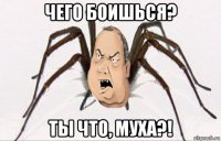 чего боишься? ты что, муха?!