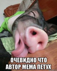  очевидно что автор мема петух