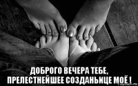  доброго вечера тебе, прелестнейшее созданьице моё !