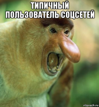 типичный пользователь соцсетей 
