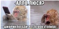 -алло, люся? -шифрин,погоди! я телефон утопила!
