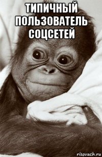 типичный пользователь соцсетей 