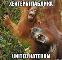 хейтеры паблика united hatedom