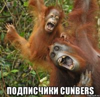  подписчики cunbers
