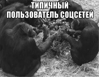 типичный пользователь соцсетей 