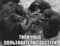  типичные пользователи соцсетей